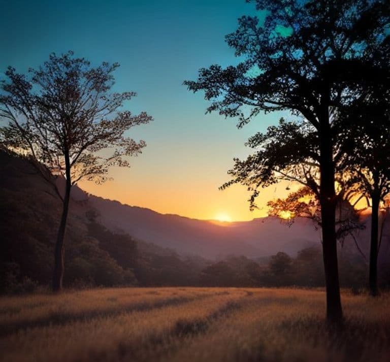 A painterly illustration of an open grassy Nicoya meadow at golden hour, trees in silhouette framing rolling hills with the sun setting between them, earthy gold and green tones, no figures.