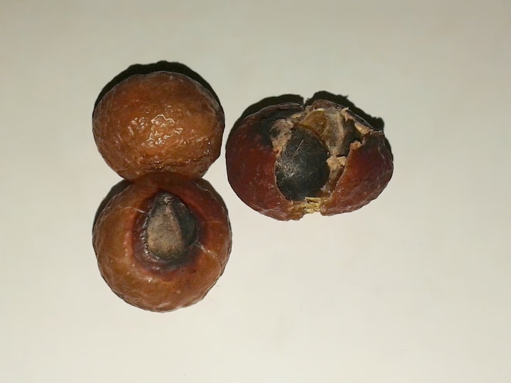A ripe jaboncillo berry beside one cut open to show the seed